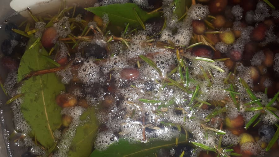 fermentazione domestica